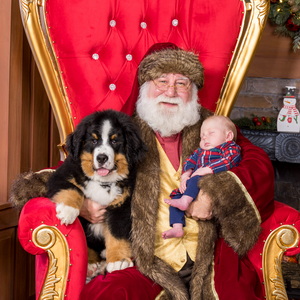 Rebecca Callahan-1214-279